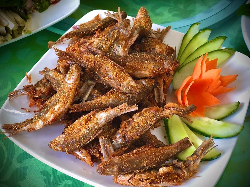 ca thinh6